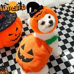pumpkin pet vest
