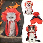 vampire pet costume