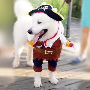 pirate dog costume