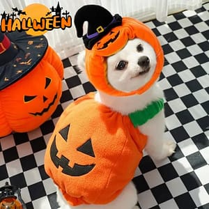 pumpkin pet vest